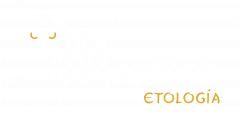 Marsilea Etología